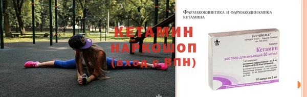 дживик Гусь-Хрустальный