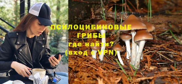каннабис Гусев