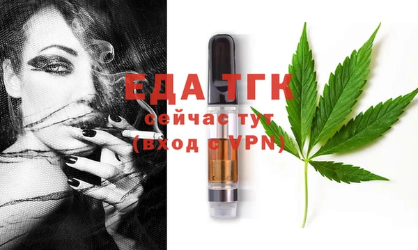 дживик Гусь-Хрустальный