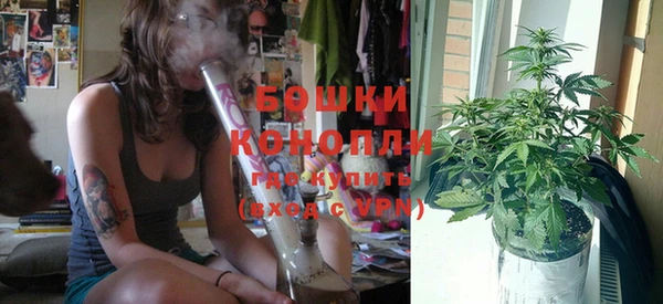 дживик Гусь-Хрустальный