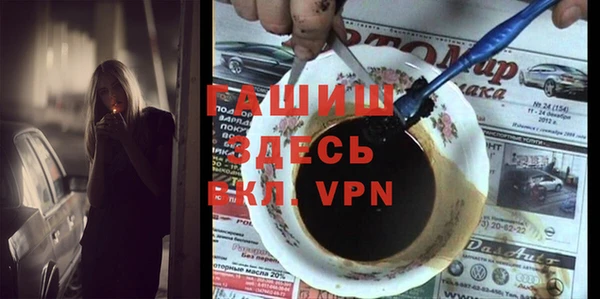 индика Дмитриев
